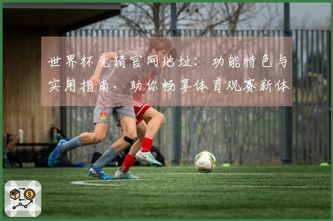 世界杯竞猜官网地址：功能特色与实用指南，助你畅享体育观赛新体验