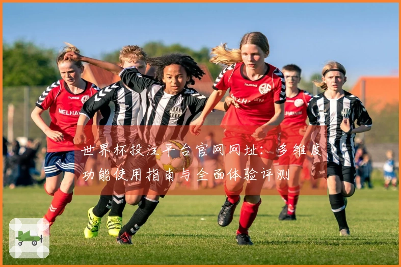 世界杯投注平台官网网址：多维度功能使用指南与全面体验评测