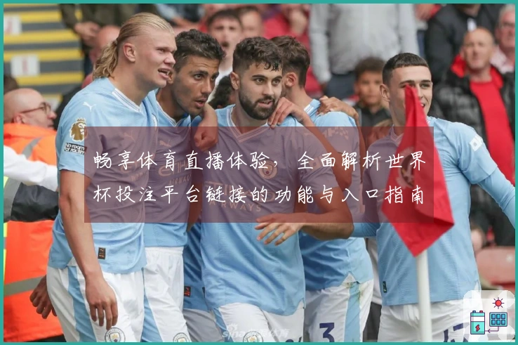 畅享体育直播体验，全面解析世界杯投注平台链接的功能与入口指南