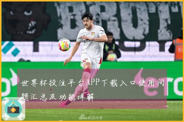 世界杯投注平台APP下载入口使用问题汇总及功能详解