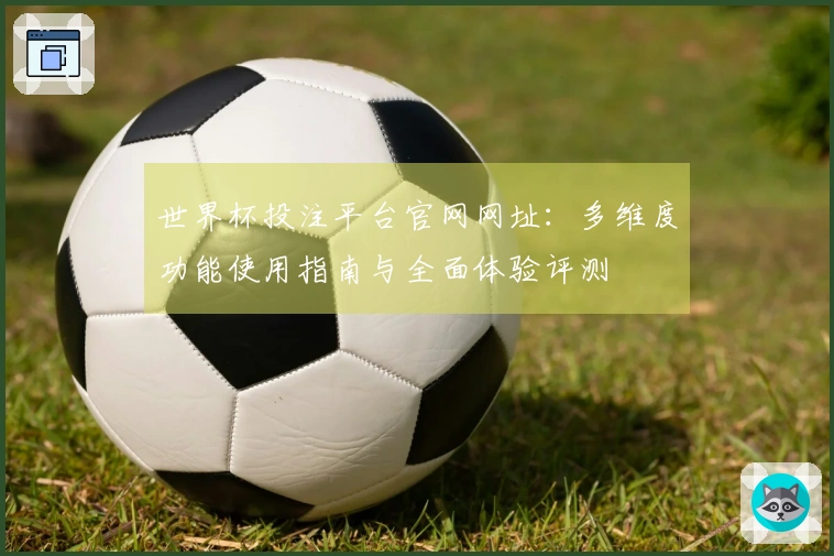 世界杯投注平台官网网址：多维度功能使用指南与全面体验评测