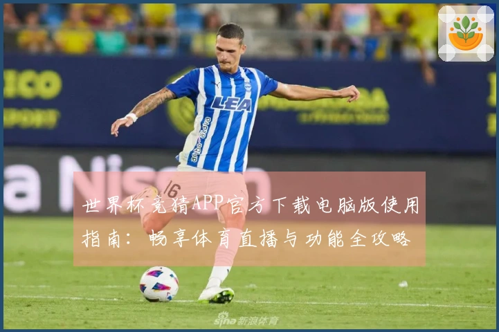 世界杯竞猜APP官方下载电脑版使用指南：畅享体育直播与功能全攻略