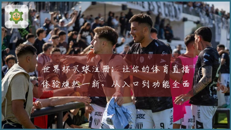 世界杯买球注册：让你的体育直播体验焕然一新，从入口到功能全面解析